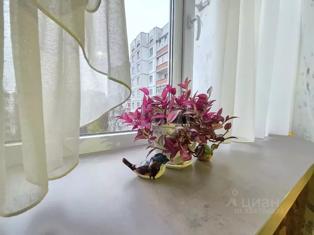 3-к кв. Калининградская область, Калининград ул. Согласия, 7 (69.3 м) - Фото 1