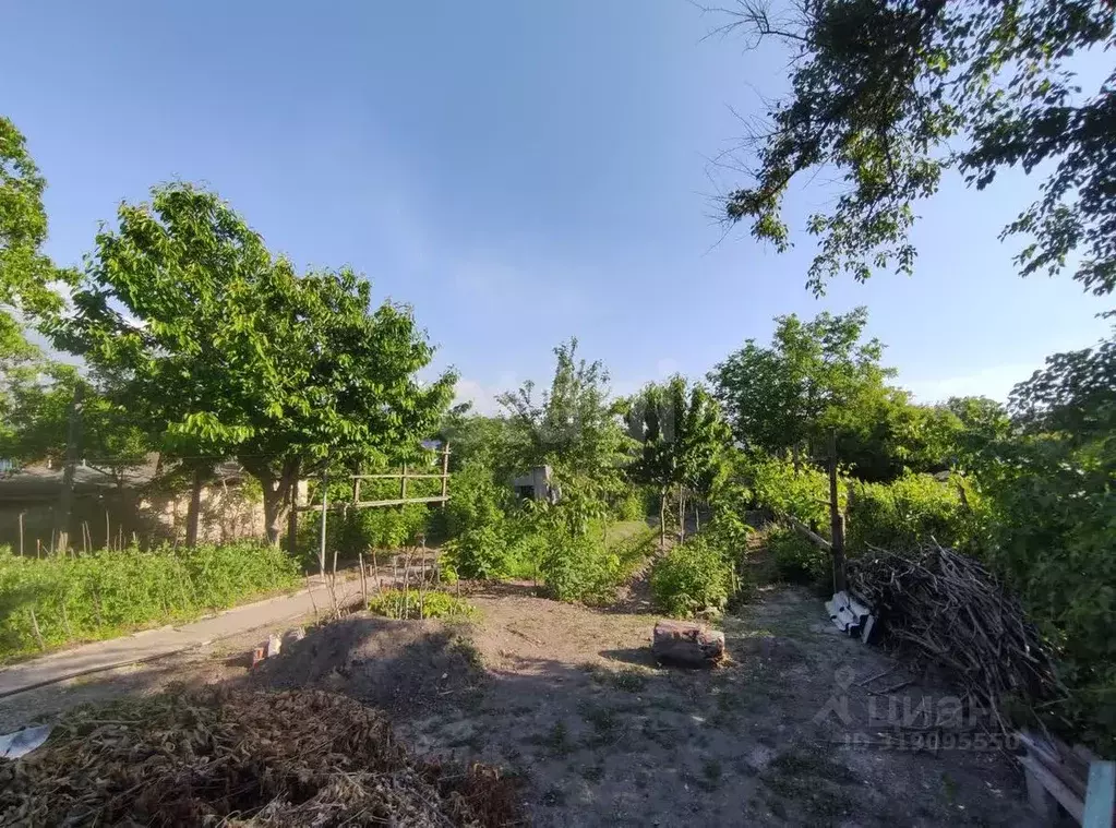 Участок в Краснодарский край, Новороссийск городской округ, ... - Фото 1