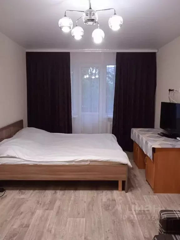 1-к кв. Псковская область, Псков Коммунальная ул., 10 (17.0 м) - Фото 0