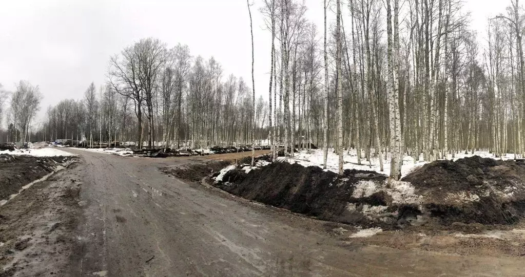 Участок в Ленинградская область, Приозерский район, Красноозерное ... - Фото 1