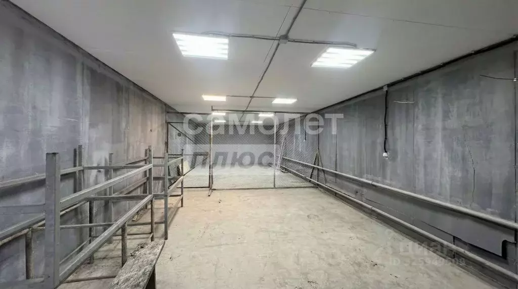 Помещение свободного назначения в Брянская область, Брянский район, ... - Фото 1