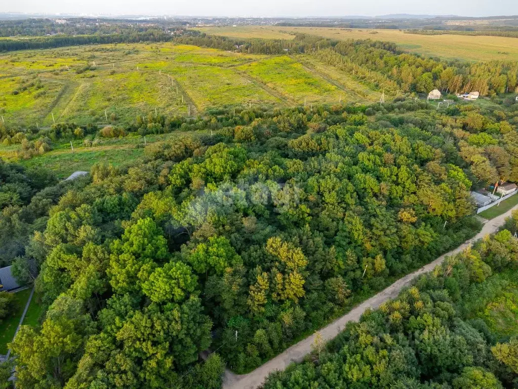 участок в хабаровский край, хабаровский район, с. корсаково-2 (32.0 . - Фото 1