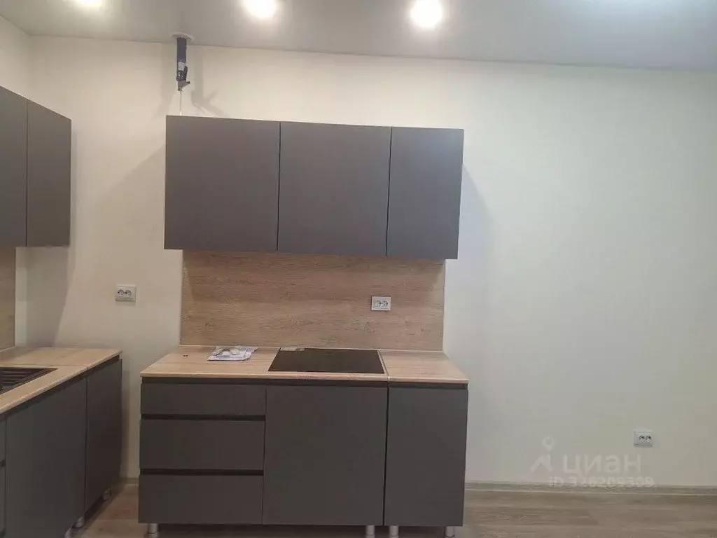 1-к кв. Ленинградская область, Ломоносовский район, Аннинское ... - Фото 2