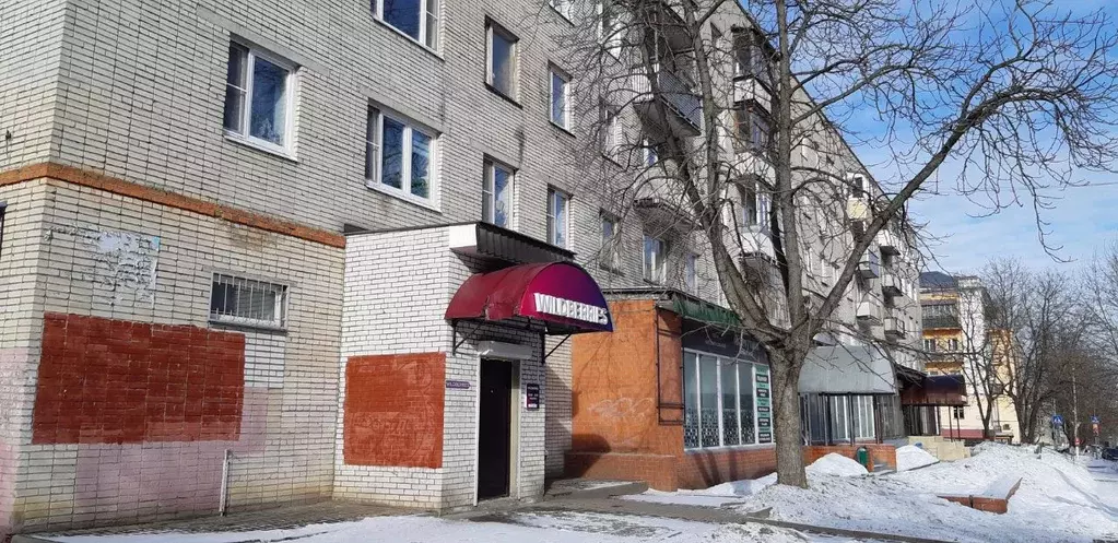 1-к кв. Московская область, Ногинск Богородский городской округ, ул. ... - Фото 1