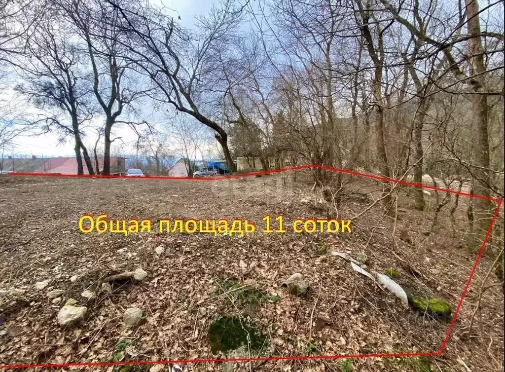 Участок в Крым, Ялта муниципальный округ, пос. Партизанское ул. ... - Фото 1