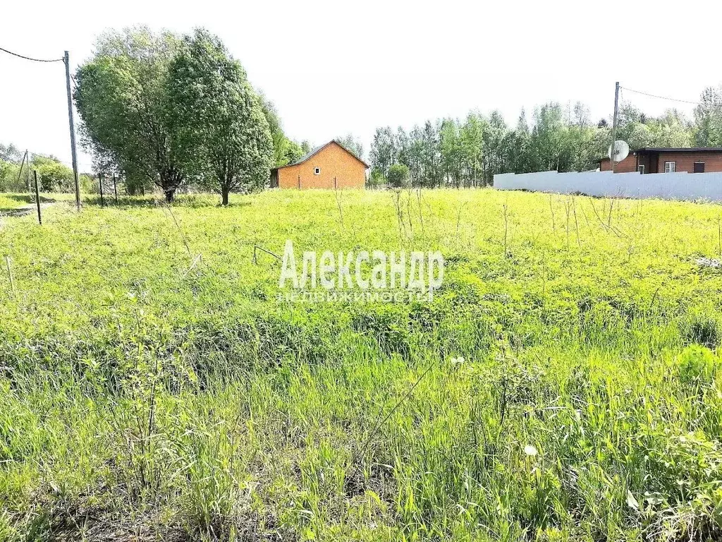 Участок в Ленинградская область, Приозерский район, Запорожское с/пос, ... - Фото 2