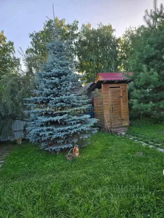 Участок в Новосибирская область, Новосибирский район, Краснообск ... - Фото 2