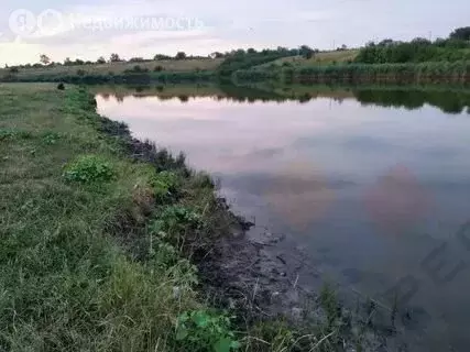 Участок в Свободное, Колхозная улица, 59 (36 м) - Фото 1