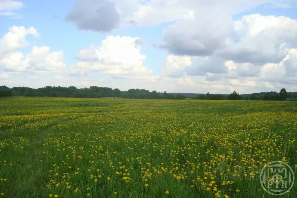 Участок в Ленинградская область, Выборгский район, Красносельское ... - Фото 1