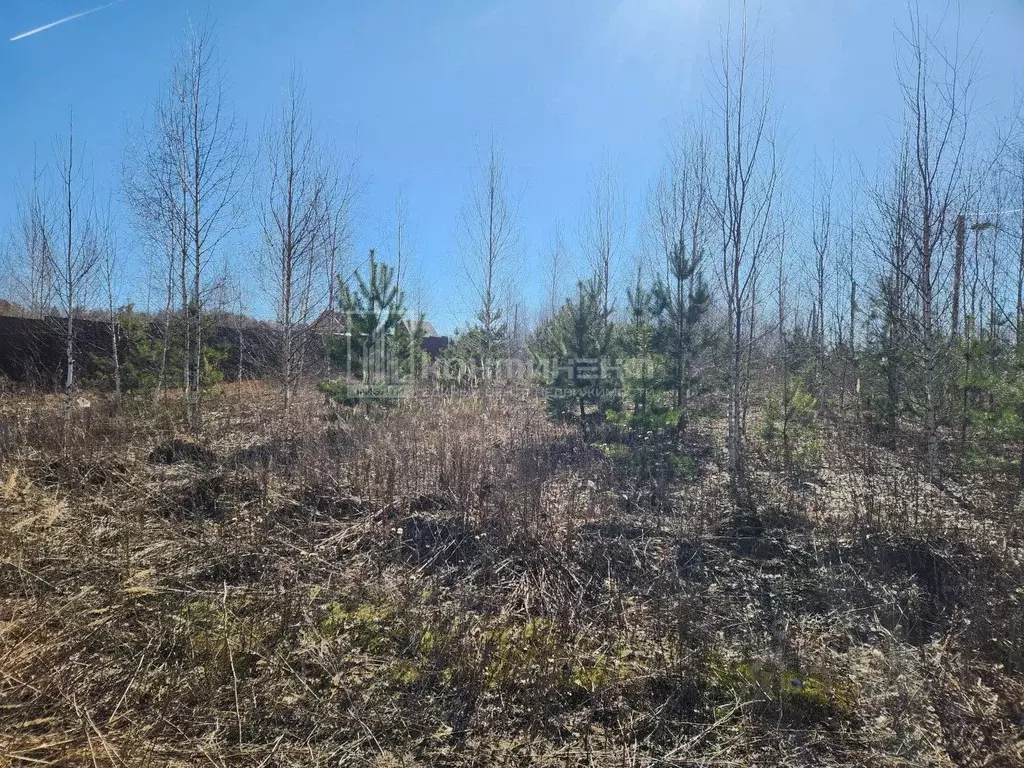 Участок в Владимирская область, Собинский муниципальный округ, д. ... - Фото 1