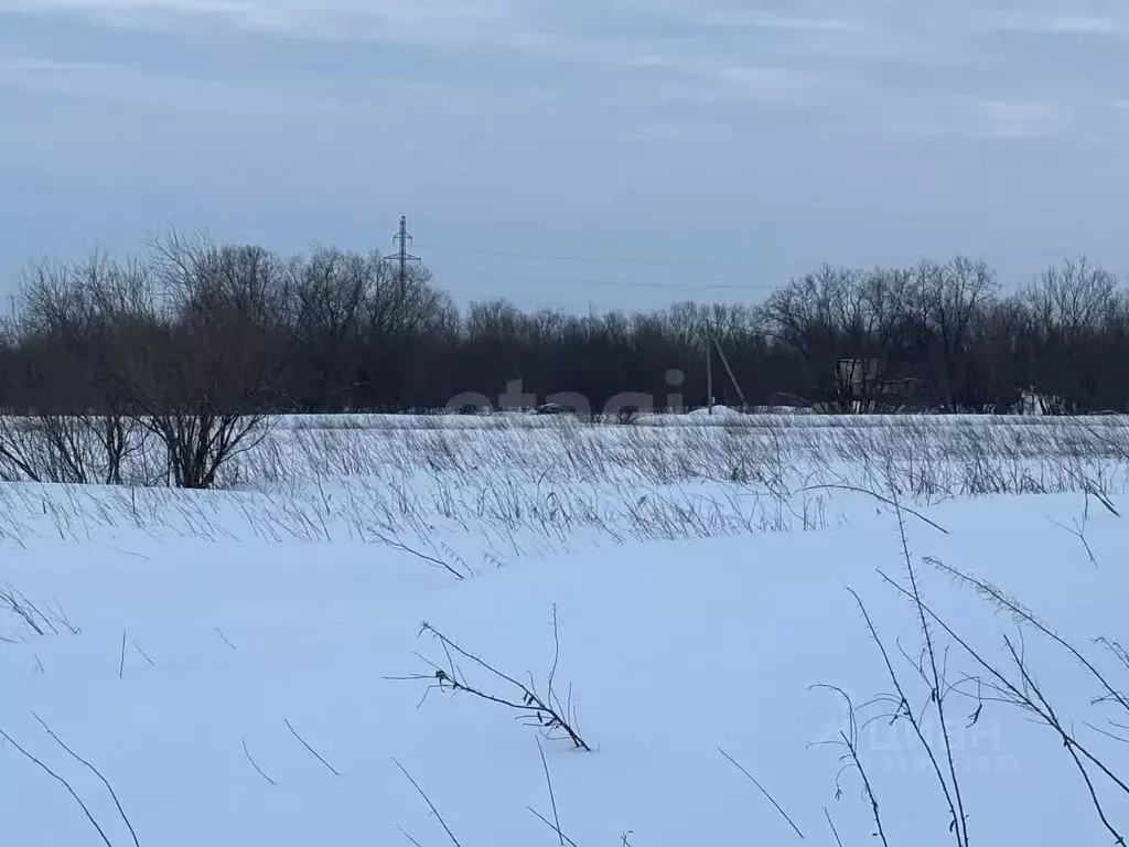 Участок в Архангельская область, Архангельск Малое Никольское ТСН,  ... - Фото 0