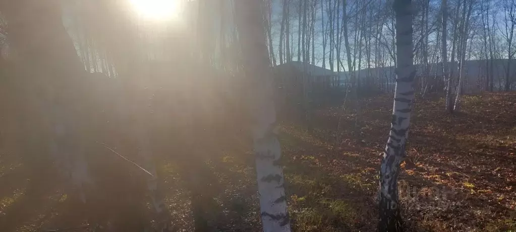 Участок в Самарская область, Самара Ротор СДТ,  (17.7 сот.) - Фото 2