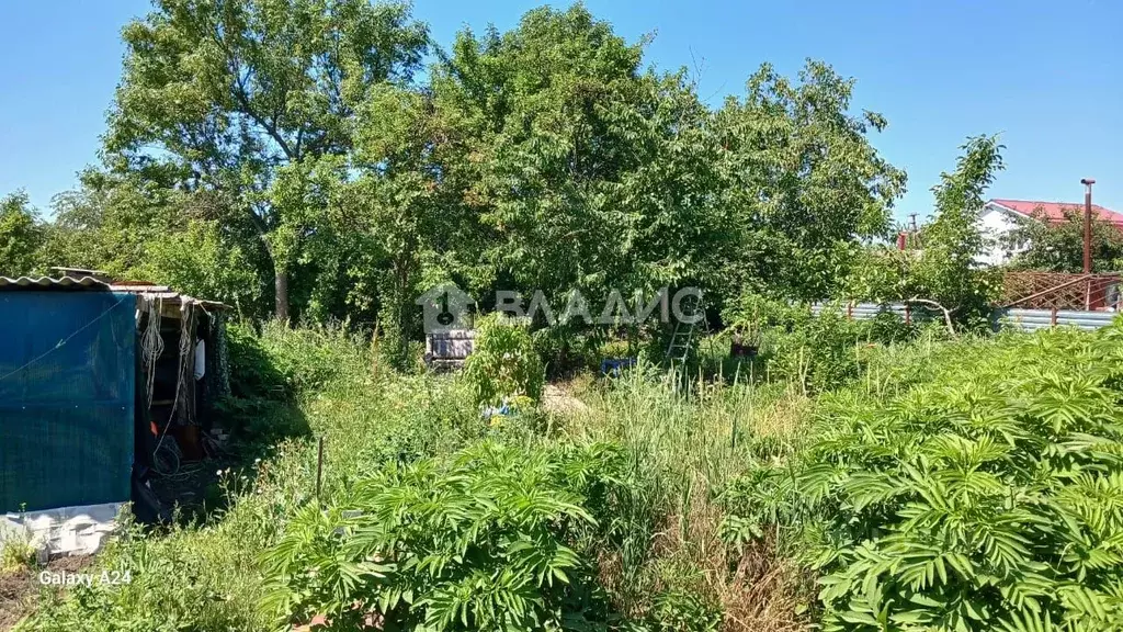 Участок в Адыгея, Тахтамукайский район, Энем пгт Железнодорожная ул., ... - Фото 1