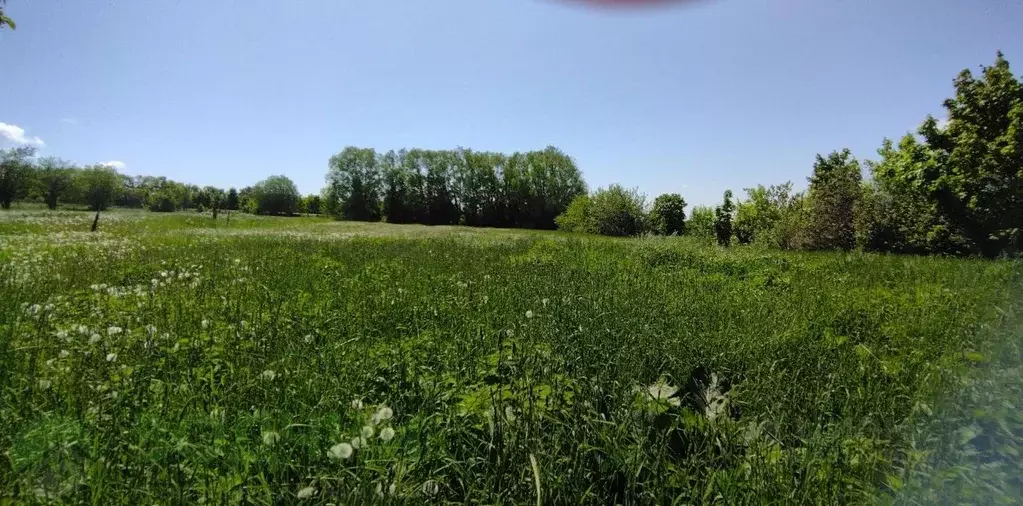 Дом в Чувашия, Чебоксарский муниципальный округ, д. Кшауши ул. ... - Фото 0