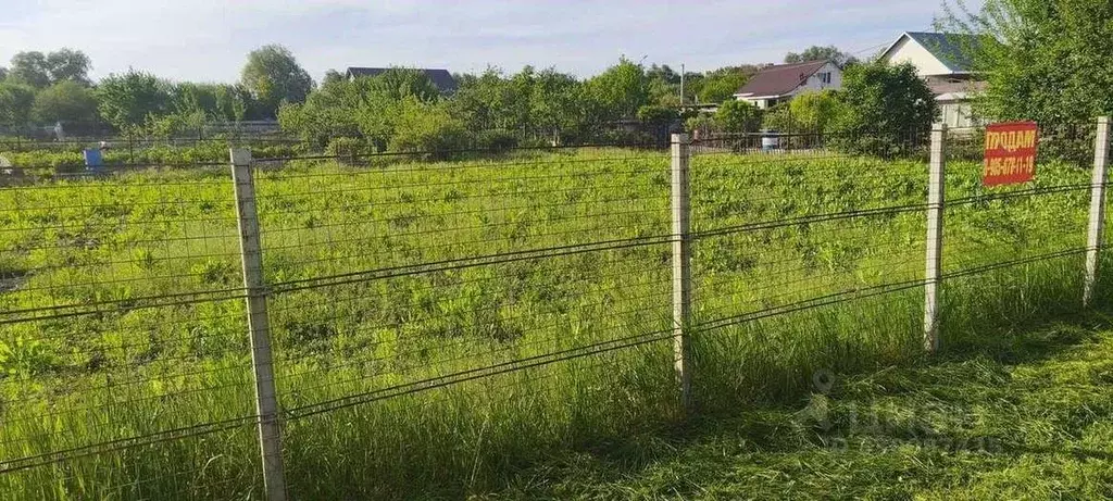 Участок в Белгородская область, Шебекинский муниципальный округ, ... - Фото 1