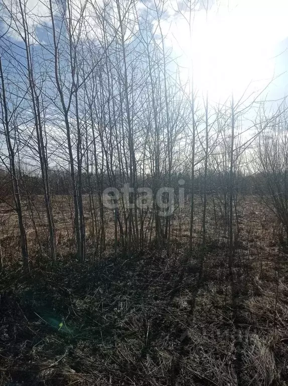 Участок в Свердловская область, Нижний Тагил ул. 2-я Самоцветная, 7 ... - Фото 1