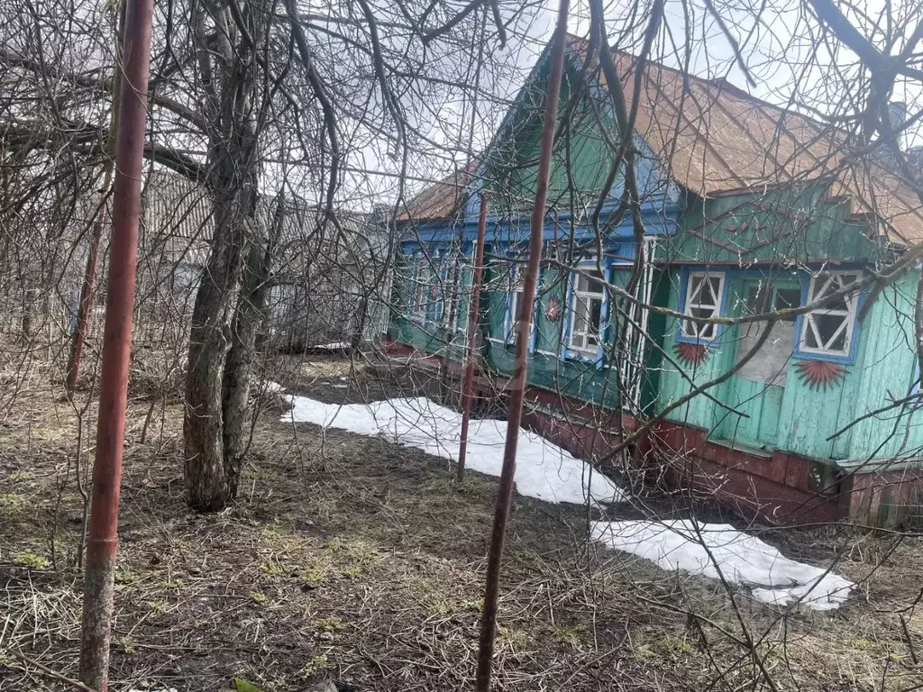 Дом в Мордовия, Кадошкино рп ул. Володарского, 63 (41 м) - Фото 1