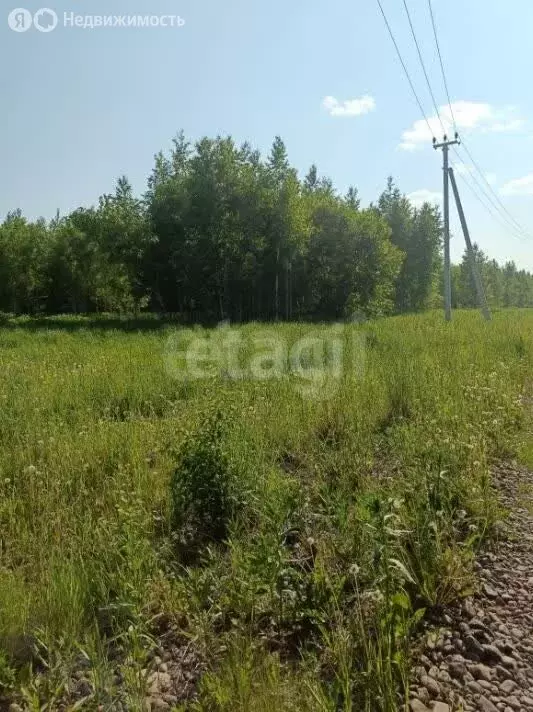Участок в Кемеровский муниципальный округ, СНТ Кирилловка (800 м) - Фото 2