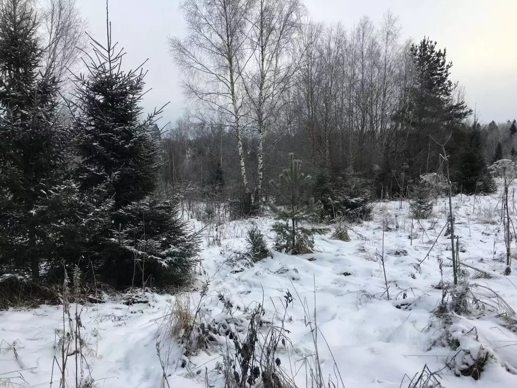 Участок в Московская область, Пушкинский городской округ, д. ... - Фото 0