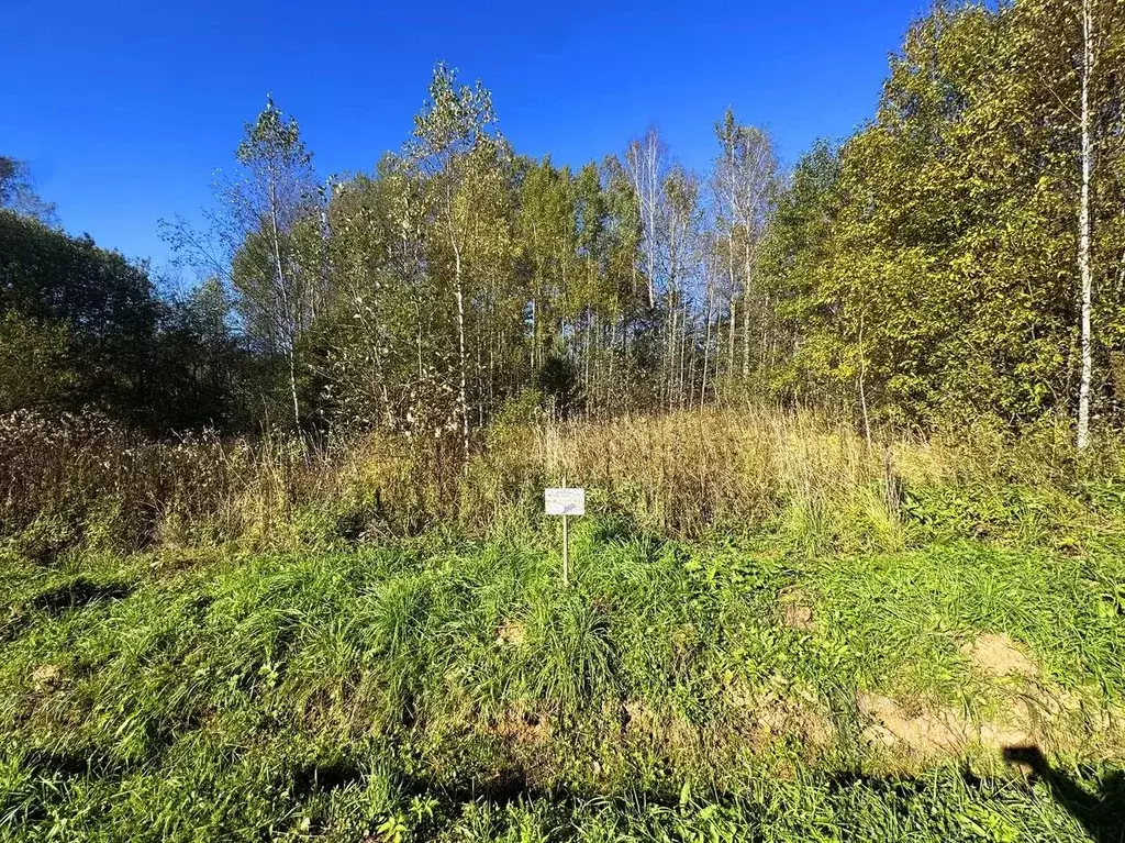 Участок в Московская область, Дмитровский муниципальный округ, Форест ... - Фото 2