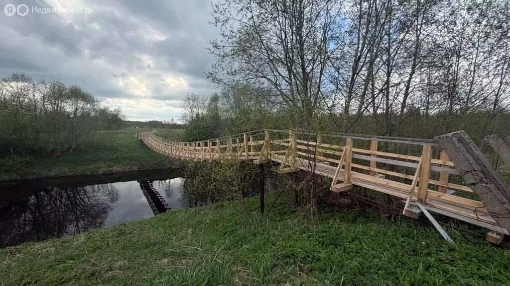 Участок в Колчановское сельское поселение, деревня Дяглево, 27 (15.9 ... - Фото 2
