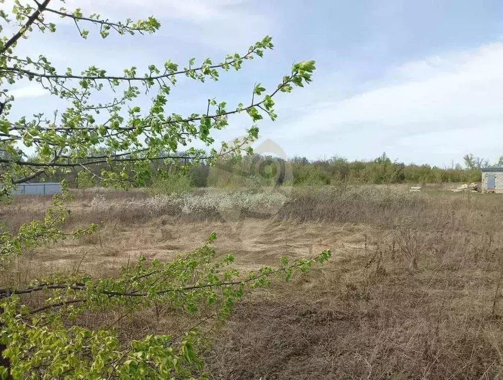 Участок в Белгородская область, Старый Оскол 7 (15.0 сот.) - Фото 1