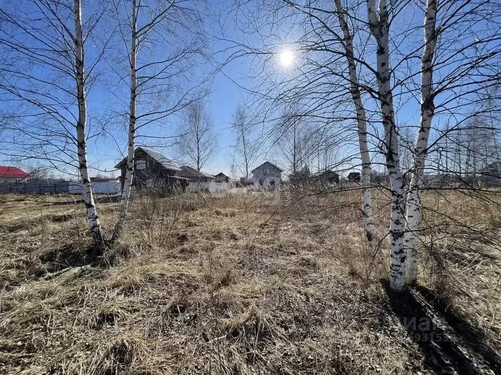 Участок в Ярославская область, Ярославский муниципальный округ, д. ... - Фото 1