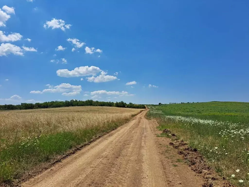 Участок в Крым, Бахчисарайский район, с. Вилино ул. Ленина, 128 (510.0 ... - Фото 0