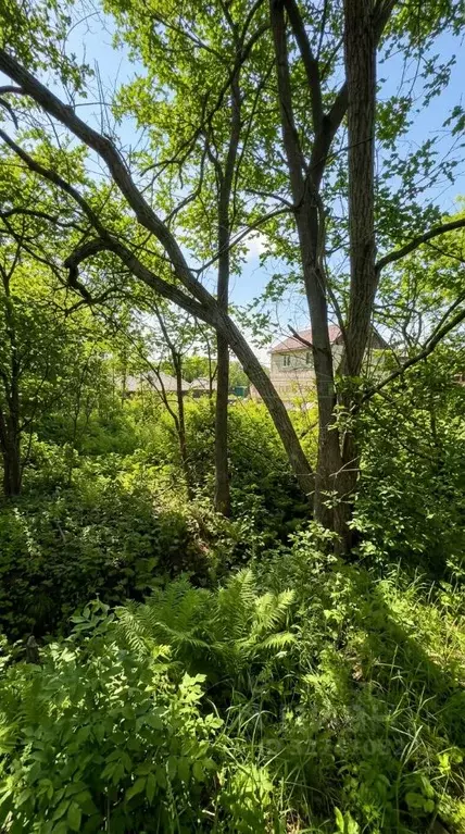 Участок в Приморский край, Артемовский городской округ, с. Кневичи ул. ... - Фото 2