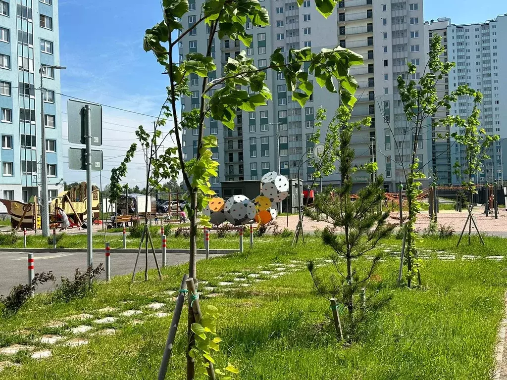 1-к кв. Санкт-Петербург дор. Муринская, 10к1 (29.4 м) - Фото 2
