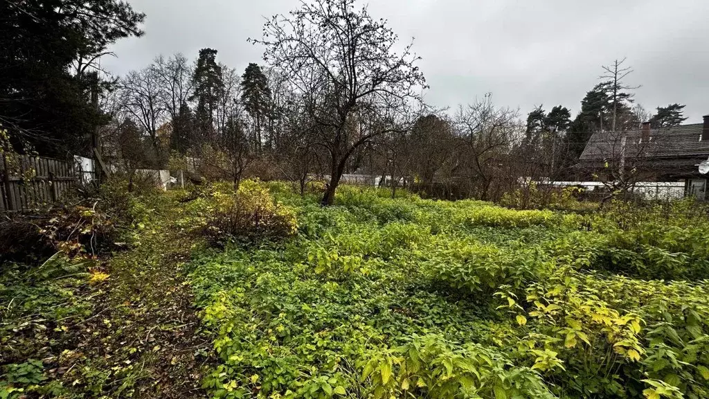 Участок, 10.5 сот., 0 - Фото 1