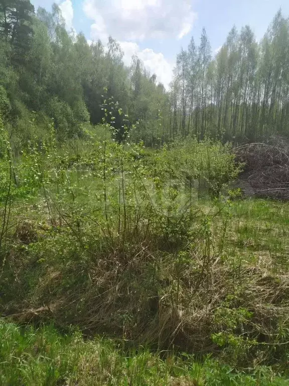Участок 9 сот. (СНТ, ДНП) - Фото 0
