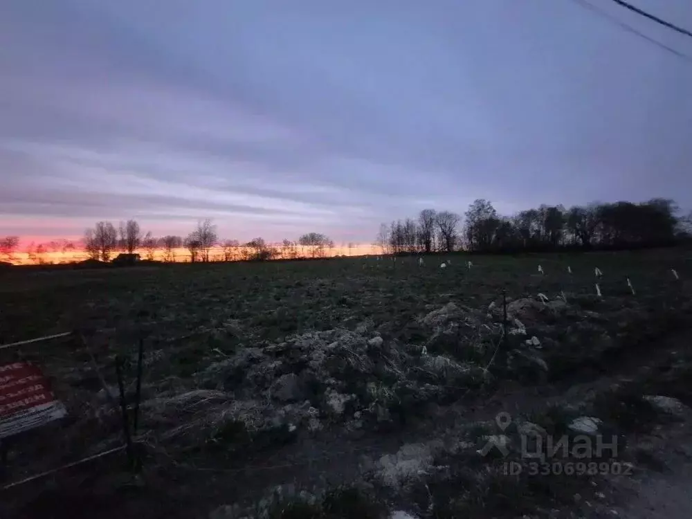 Участок в Ленинградская область, Ломоносовский район, Ропшинское ... - Фото 2