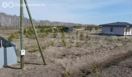 Участок в село Каменка, дачное некоммерческое товарищество Подушкино, ... - Фото 1