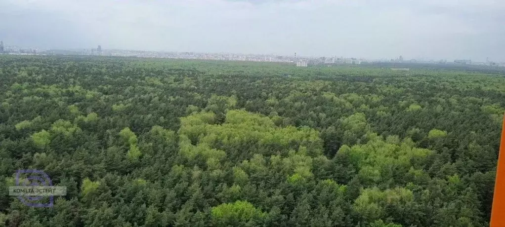 3-к кв. Московская область, Котельники ул. Сосновая, 1к3 (73.6 м) - Фото 1