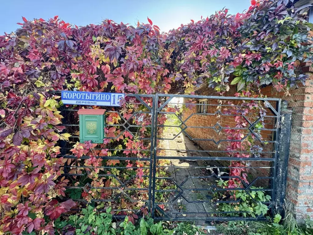 Участок в Москва д. Коротыгино, 15 (5.0 сот.) - Фото 0