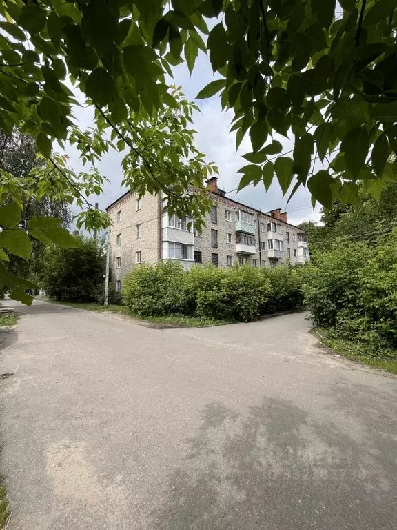 2-к кв. Московская область, Ногинск Богородский городской округ, ул. ... - Фото 1