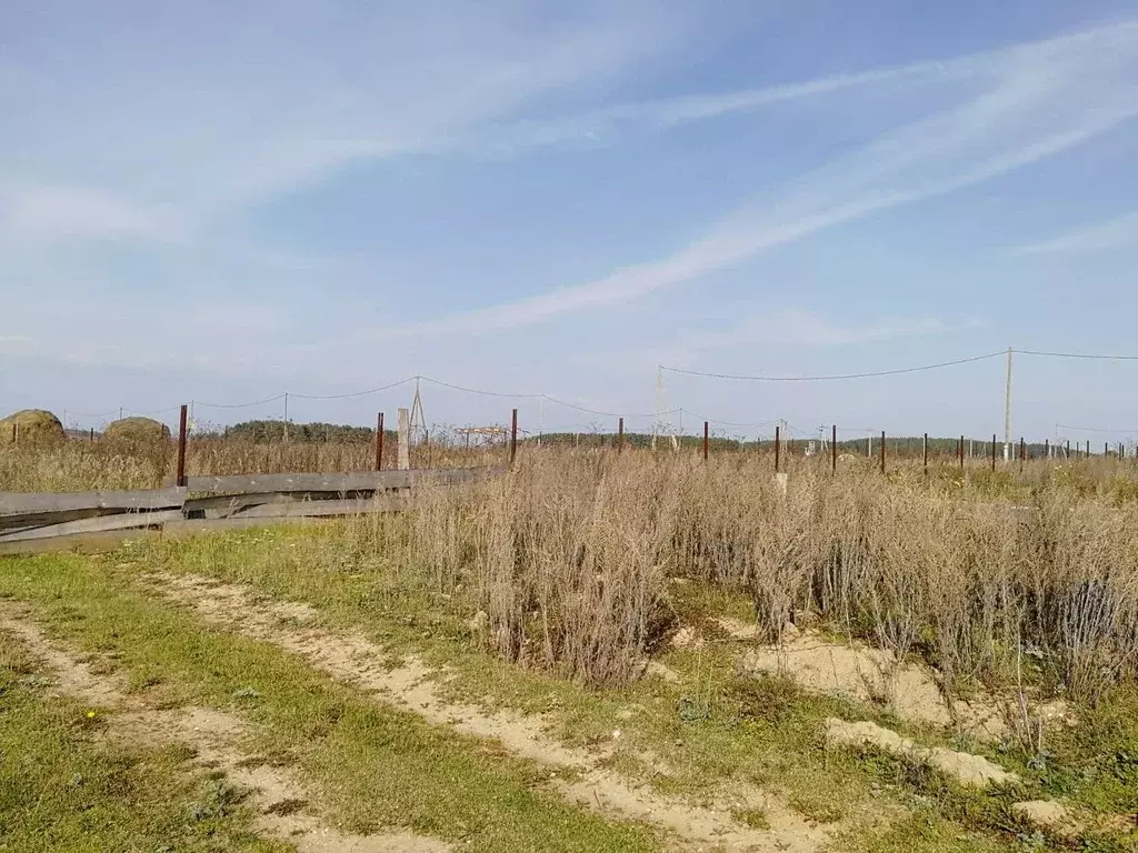 Участок в Свердловская область, Белоярский городской округ, д. Ключи  ... - Фото 1