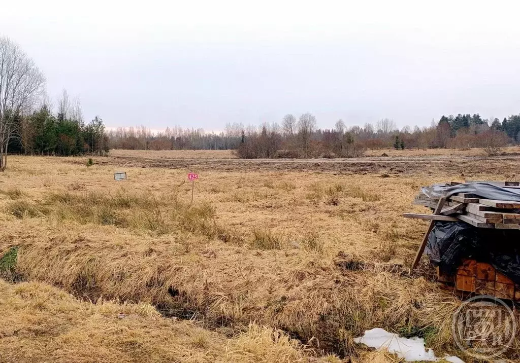 Участок в Выборгский район, Рощинское городское поселение, посёлок ... - Фото 2