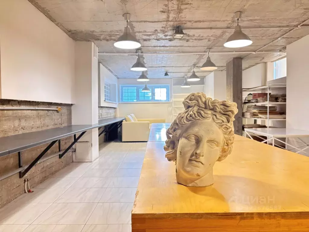 Помещение свободного назначения в Самарская область, Самара Садовая ... - Фото 1