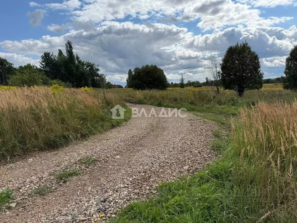 Участок в Нижегородская область, Дальнеконстантиновский муниципальный ... - Фото 2