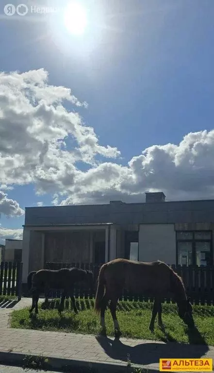 Дом в Холмогоровка, Школьная улица, 2 (76 м) - Фото 2