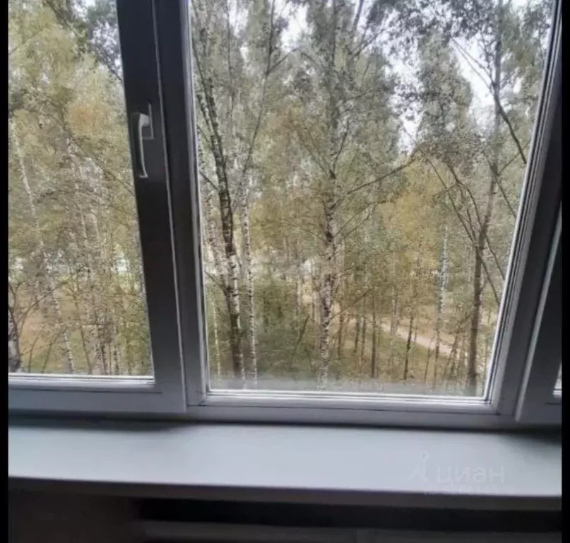 1-к кв. Санкт-Петербург ул. Подвойского, 50к2 (30.0 м) - Фото 1