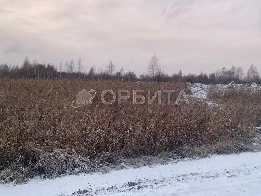 Участок в Тюменская область, Тюмень ул. Чимеевская (220.0 сот.) - Фото 2