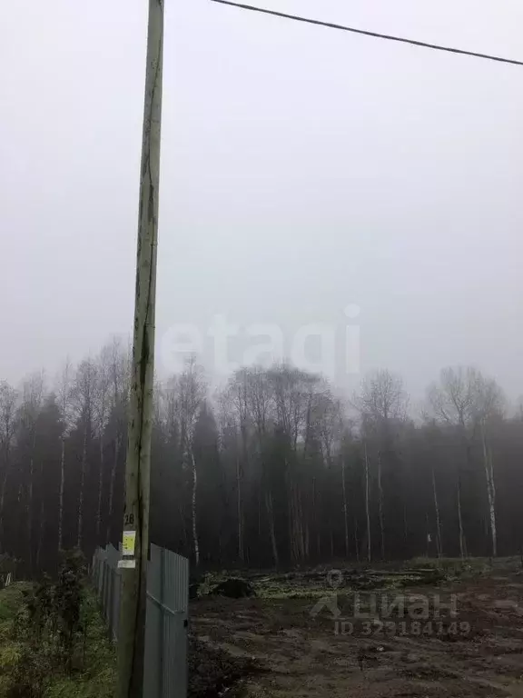 Участок в Коми, Сыктывкар проезд Юго-Западный, 98 (7.97 сот.) - Фото 2