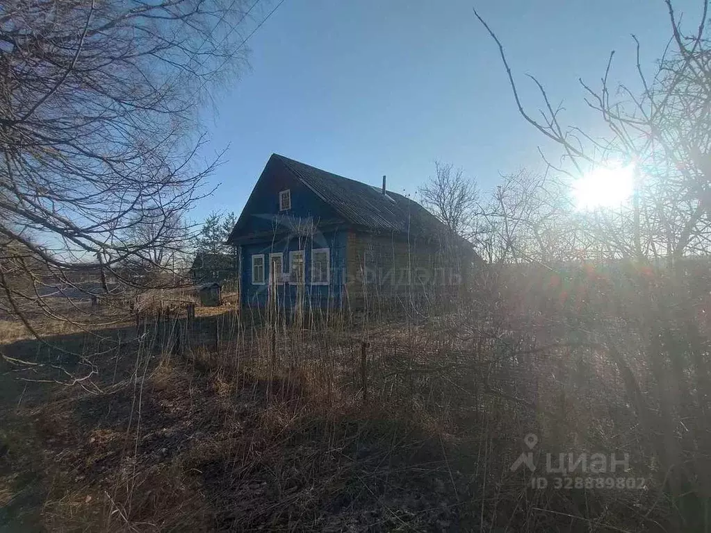 Дом в Новгородская область, Новгородский район, Трубичинское с/пос, д. ... - Фото 2