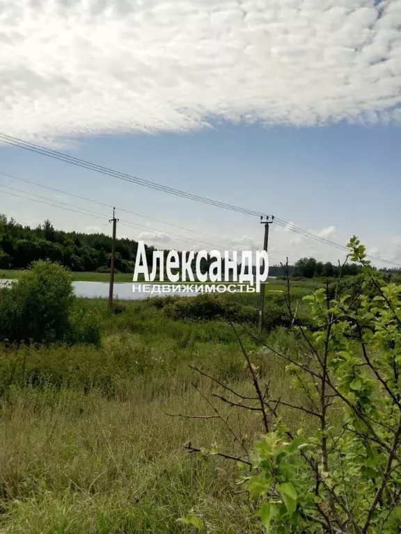 участок в ленинградская область, приозерский район, кузнечнинское . - Фото 1