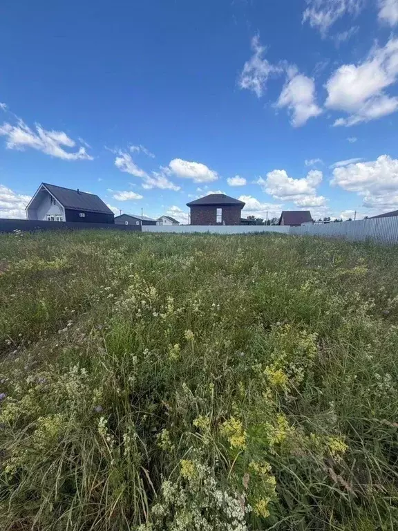 Участок в Московская область, Щелково городской округ, д. Мишнево ш. ... - Фото 1