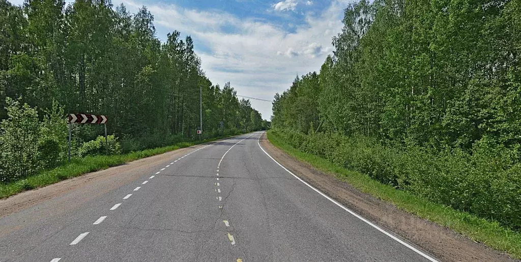 Участок в Ленинградская область, Всеволожский район, Рахьинское ... - Фото 1