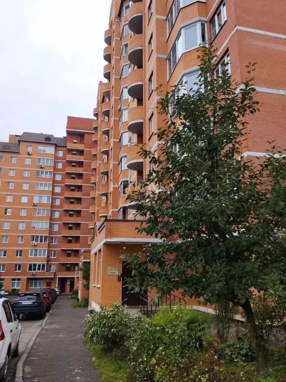 1-к кв. Московская область, Красногорск ул. Ткацкой фабрики, 23 (39.5 ... - Фото 1